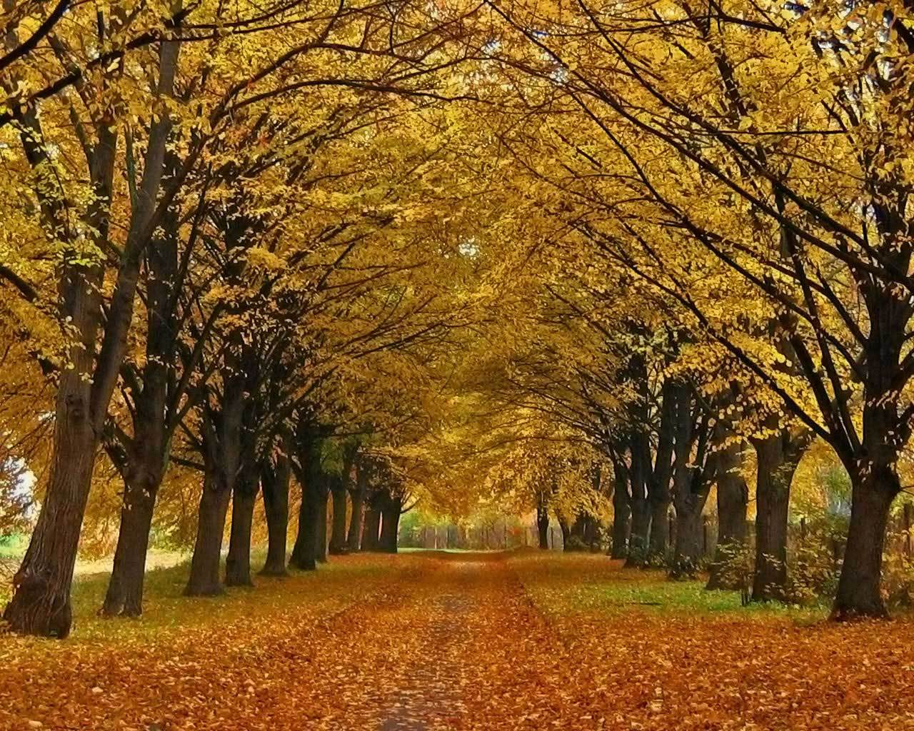 ������� ���